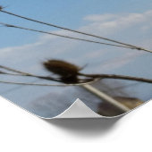 Dicken, Dorf und blauer Himmel Poster (Ecke)