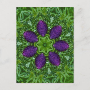 Dicken Postkarte