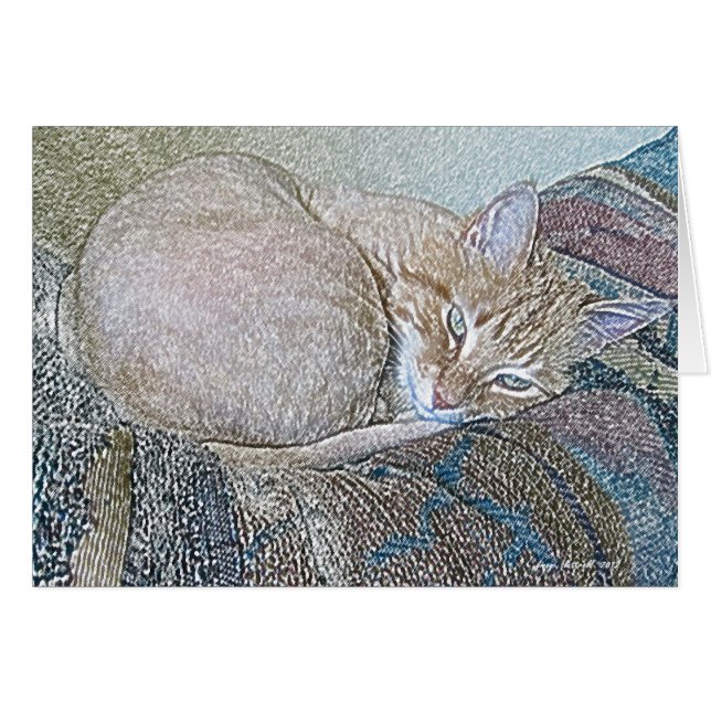 Dickens (Vorderseite (Horizontal))