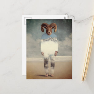 Dickhornschaf-Mensch am Strand Postkarte