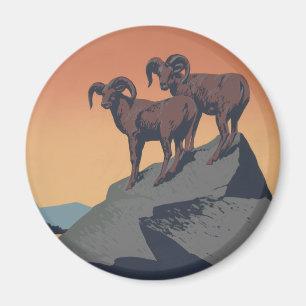 Dickhornschafe American West Wildlife Magnet