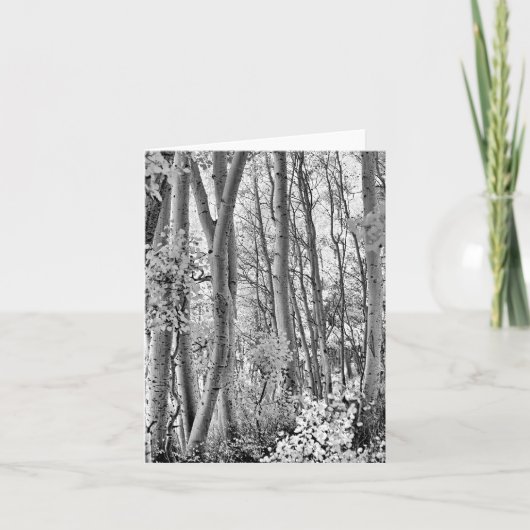 Dickicht Karte (Vorderseite)