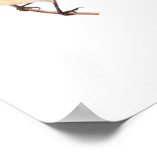 Dickinson Hope Poem Poster (Ecke)