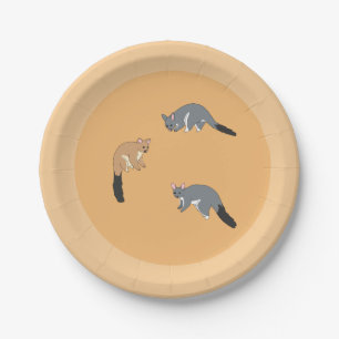 Dickschwanzpossums Pappteller
