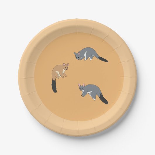 Dickschwanzpossums Pappteller (Vorderseite)