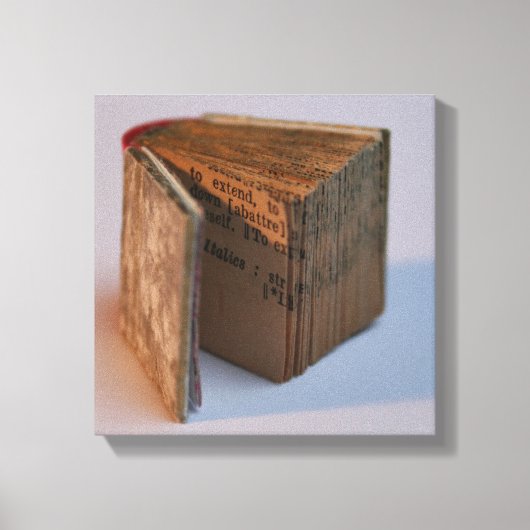 DicofrAngle Englisch-Französisches Miniaturbuchpos Leinwanddruck (Vorderseite)