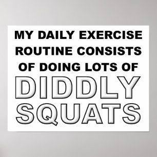 Diddly Squats Lustiges Poster