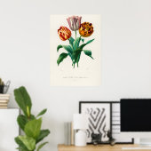 Didier-Tulpe (Tulipa gesneriana) Poster (Heimbüro)