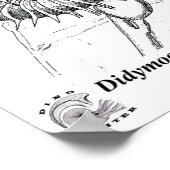 Didymoceras stevensoni poster (Ecke)