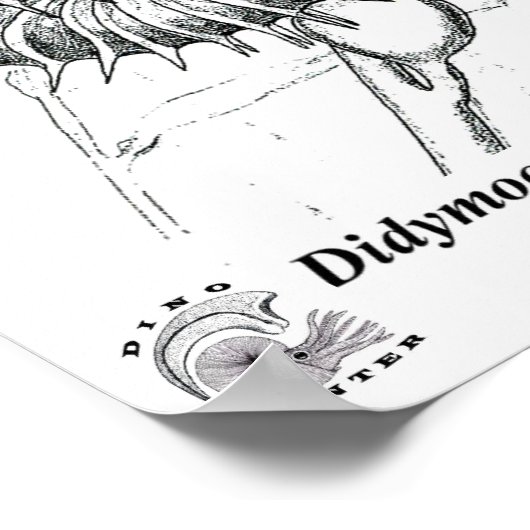 Didymoceras stevensoni poster (Ecke)