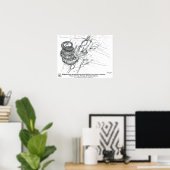 Didymoceras stevensoni poster (Heimbüro)