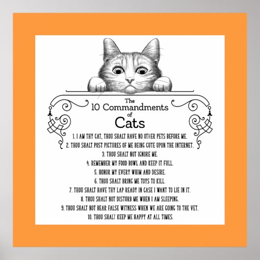Die 10 Gebote von Cats Funny Poster (Vorne)