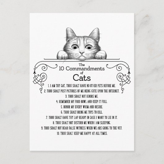 Die 10 Gebote von Cats Funny Postkarte (Vorderseite)