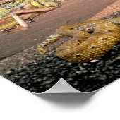 Die 10 Pest Ägyptens - Englisch und Hebräisch Poster (Ecke)