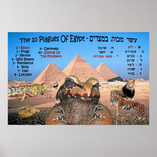 Die 10 Pest Ägyptens - Englisch und Hebräisch Poster (Vorne)