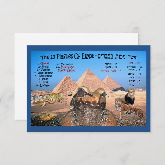 Die 10 Seuchen Ägyptens (Vorne/Hinten)