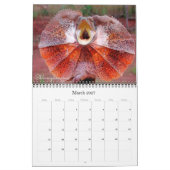 Die 12 eigenartigsten Tiere auf dem Planeten Kalender (Mär 2027)