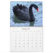 Die 12 eigenartigsten Tiere auf dem Planeten Kalender (Jan 2027)