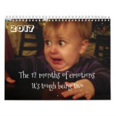 Die 12 Monate von Gefühlkleinkind Problemen. Kalender (Titelbild)