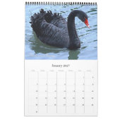 Die 12 seltsamsten Tiere der Welt Kalender (Jan 2027)