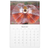 Die 12 seltsamsten Tiere der Welt Kalender (Mär 2027)