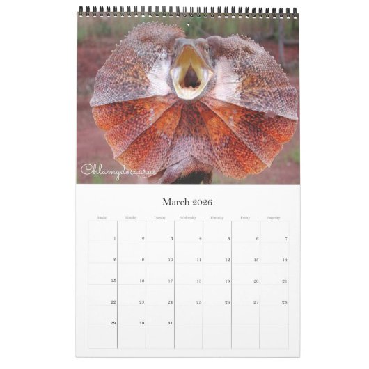 Die 12 seltsamsten Tiere der Welt Kalender (Mär 2026)