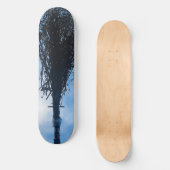 Die 13. Skult. Skateboard. Skateboard (Vorderseite)