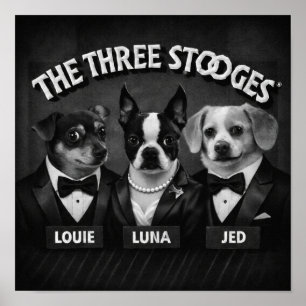"Die 2 Dooges" Poster