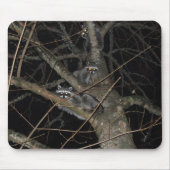 Die 3 Banditen Mousepad (Vorne)