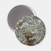 Die 3 Schmetterlinge Magnet (Vorderseite/Rückseite)