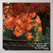 Die 4 Jahreszeiten - Herbstposter Poster (Vorne)