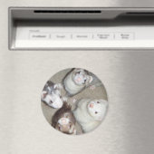 Die 4 Musketeer Ferrets! Magnet (In Situ (Geschirrspüler))