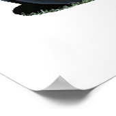 Die 50 Black Hawk Poster (Ecke)