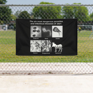 Die 6 gefährlichsten Parasiten & Infektionskrankhe Banner