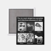 Die 6 gefährlichsten Parasiten & Infektionskrankhe Magnet (Vorderseite/Rückseite)