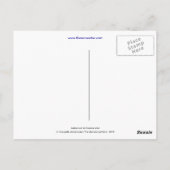 Die abandonnierte Sockenkarte Postkarte (Rückseite)