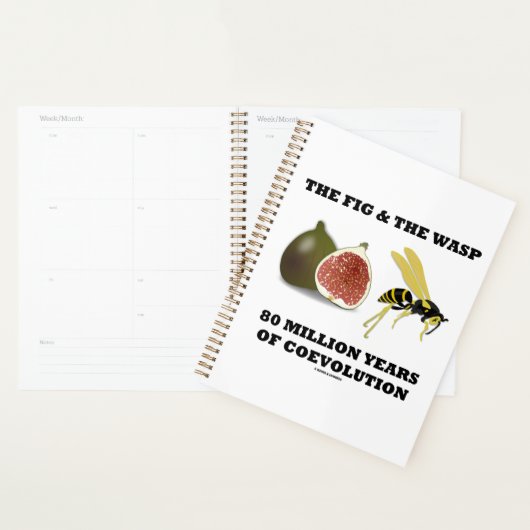 Die Abb. und der Abfall 80 Millionen Jahre Koevolu Planer (Anzeige)