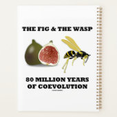 Die Abb. und der Abfall 80 Millionen Jahre Koevolu Planer (Rückseite)