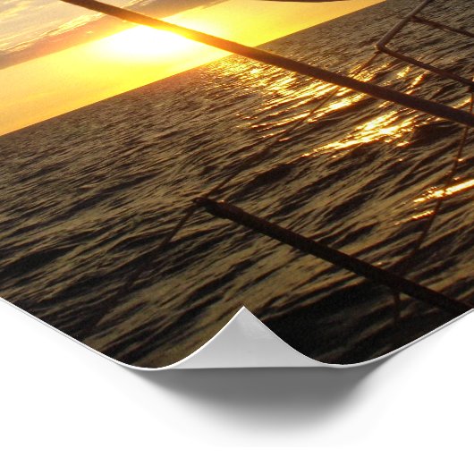 Die Abenteuer von Stray Cat Poster Entdecken Sie d (Ecke)