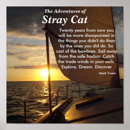Die Abenteuer von Stray Cat Poster Entdecken Sie d (Vorne)