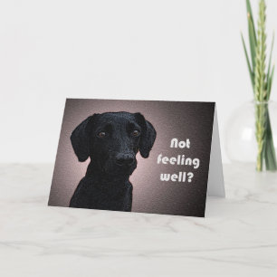 Die Abhilfe eines Hundes erhält eine gute Karte