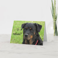 Die Ablehnung von Rottweiler erhält Wohlfahrtskart