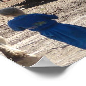 Die abscheulichen Mädchen und ihr Pferd Poster (Ecke)