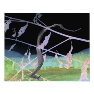 "Die Abschiedsnake" verwandelte Snakeskin Fotodruck