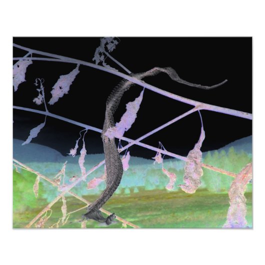 "Die Abschiedsnake" verwandelte Snakeskin Fotodruck (Vorne)