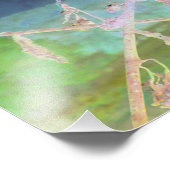 "Die Abschiedsnake" verwandelte Snakeskin Fotodruck (Ecke)