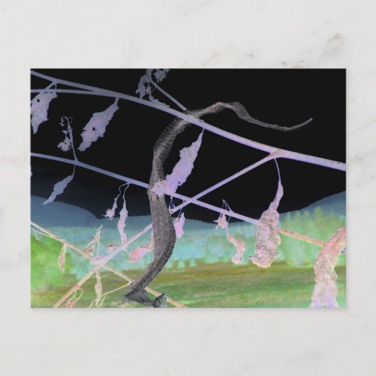 "Die Abschiedsnake" verwandelte Snakeskin Postkarte (Vorderseite)