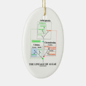 Die Abstammung der Algen-Evolutionsbiologie Keramikornament (Rechts)