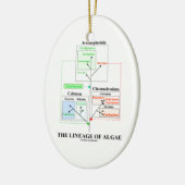 Die Abstammung der Algen-Evolutionsbiologie Keramikornament (Links)