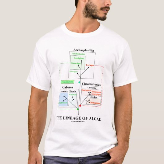 Die Abstammung der Algen (Taxonomie) T-Shirt (Vorderseite)